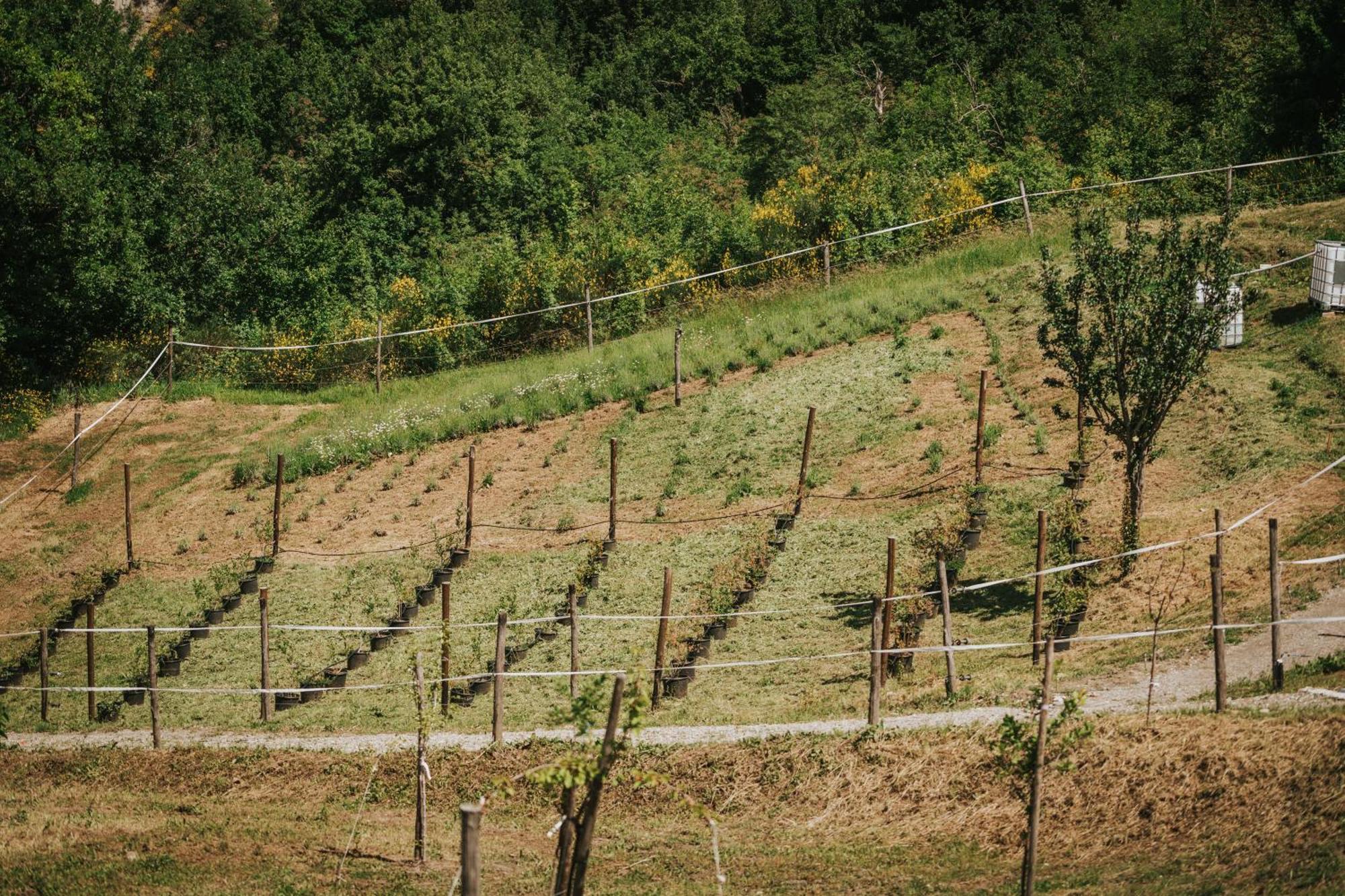 Agricampeggio Ca Di Mazza Monzuno Exterior photo